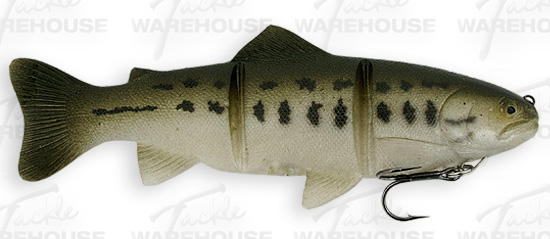 castaicbass.jpg