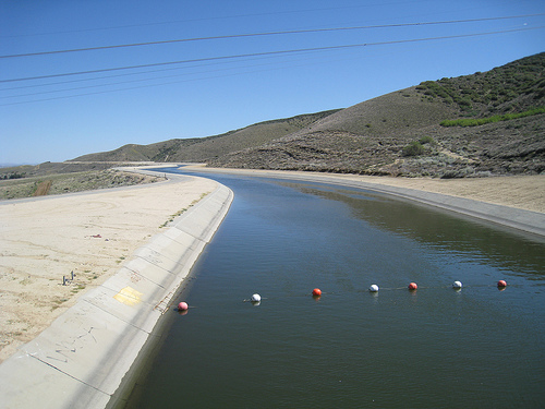 California Aqueduct Fishing 